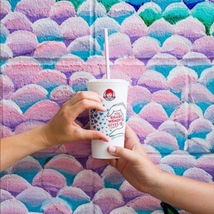 Wendy’s Wonderful Kids National Scaling