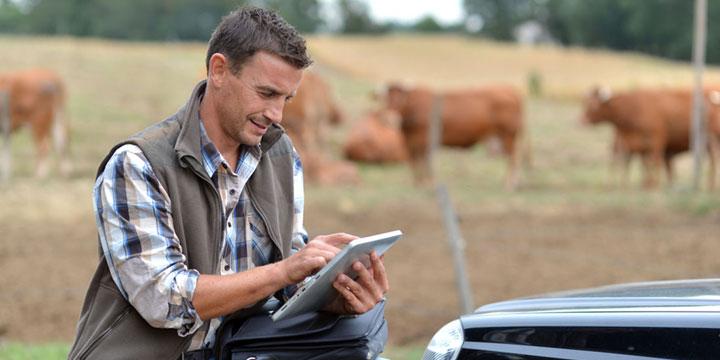 Bienestar de los animales