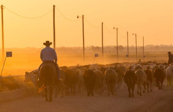 Wendy's Beef Marketing Group